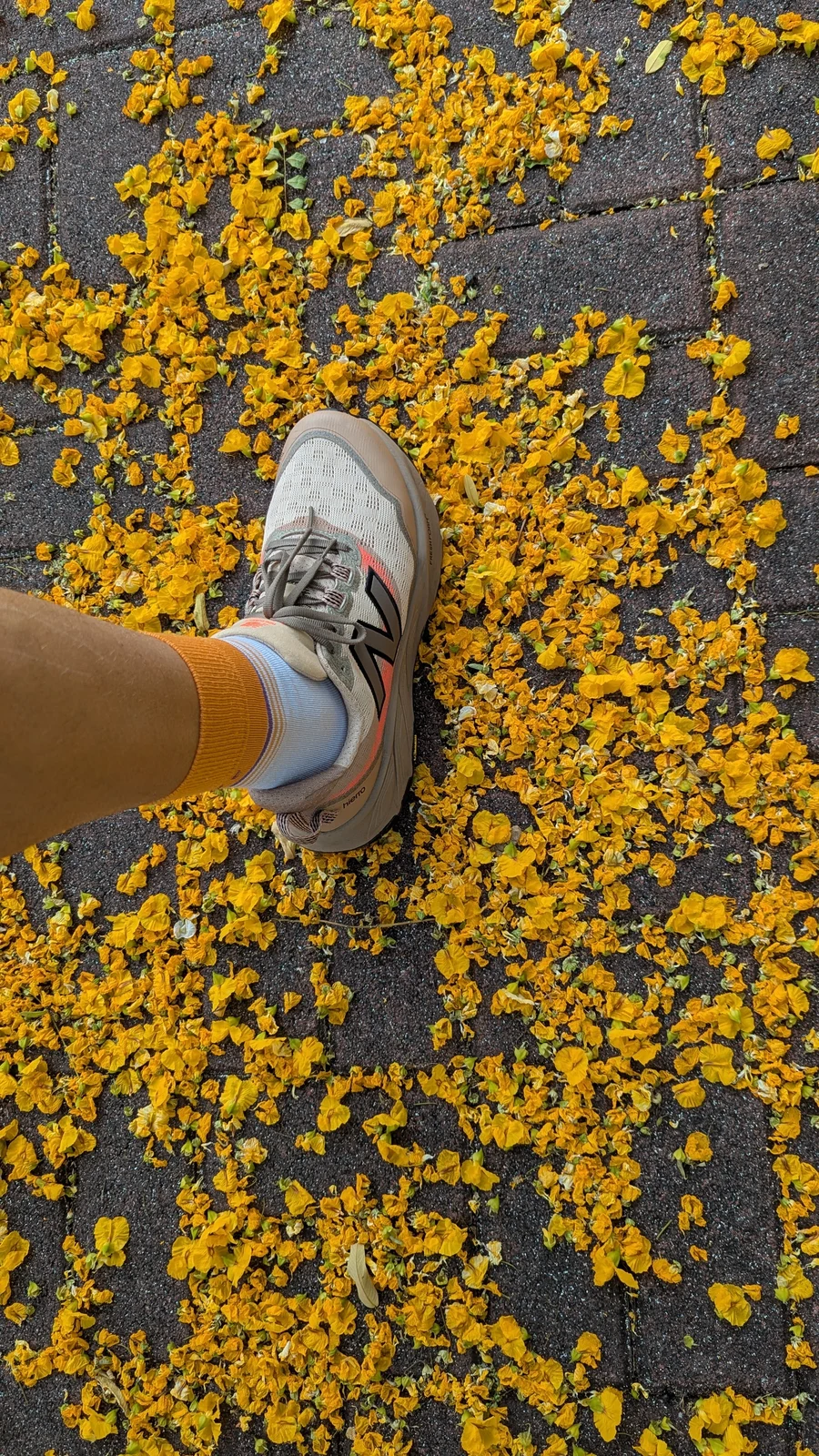 New Balance Fresh Foam X Hierro v9 на дорожке среди жёлтых лепестков в Фуншале